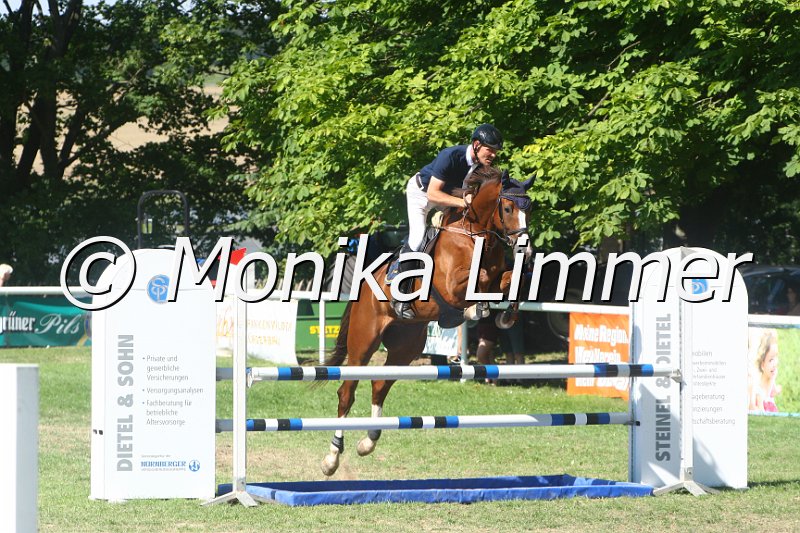 308M2471_Chico_Springpf L.JPG